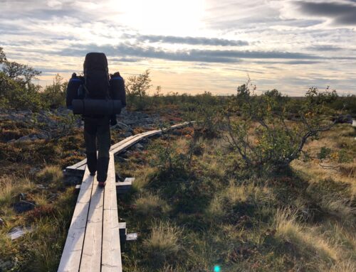 Hiking with baby